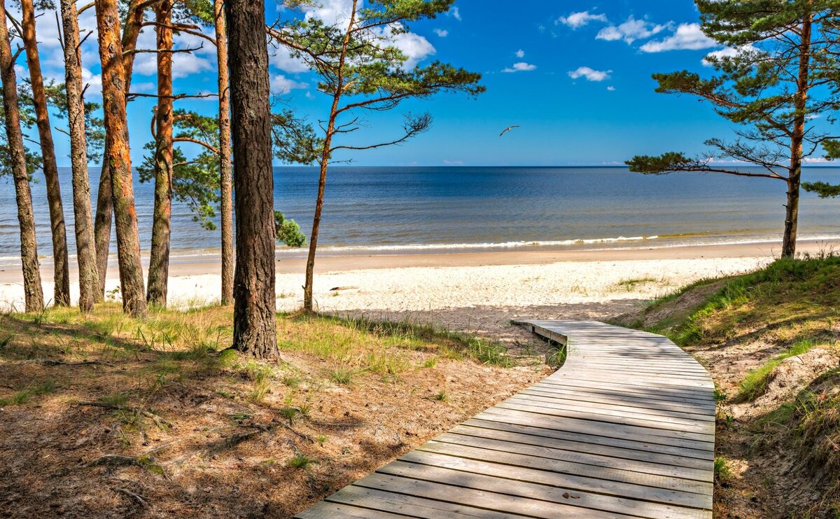 Jūrmala &mdash; pinar que se encuentra con la arena blanca de cuarzo del mar Báltico, a 25 km de Riga.