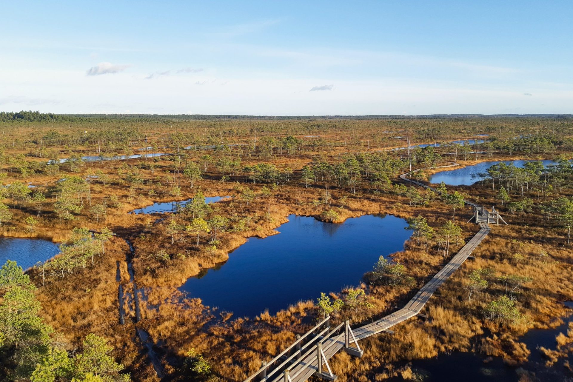 La Gran Ciénaga de Ķemeri con colores de otoño desde la torre de observación