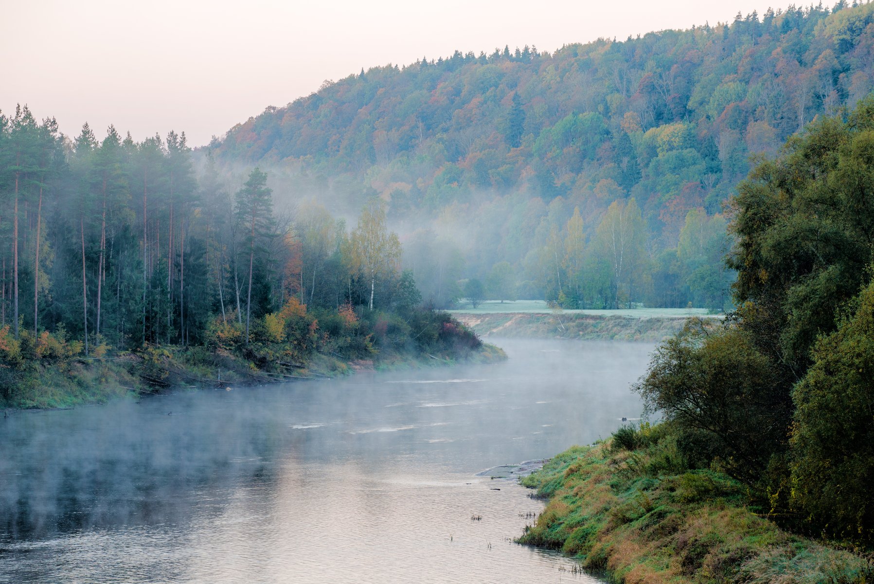 El río Gauja al amanecer con niebla matinal levantándose por el bosque otoñal