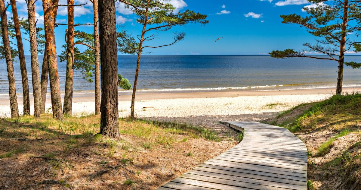Jūrmala &mdash; pinar tocando la arena blanca de cuarzo del mar Báltico, a 25&nbsp;km de Riga.